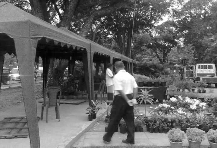 The plant shows Plant exhibition stalls