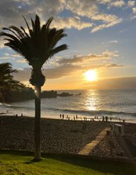 A palm tree in from of the plat de la arena beach during sunset