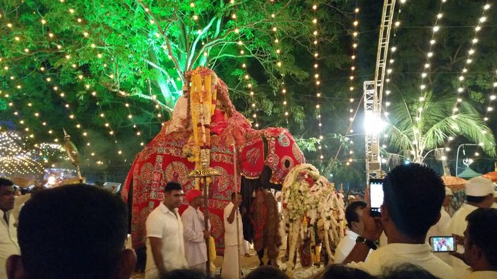 The slow march Decorated elephant carrying the shrine